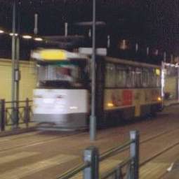 Il-y-a des gens allergiques au Trollybus